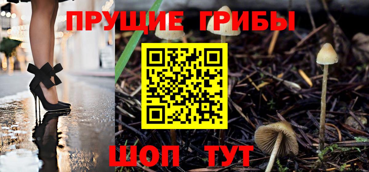 Псилоцибиновые грибы GOLDEN TEACHER  Галлюциногенные грибы MAGIC MUSHROOMS  Гай  Вход с VPN 